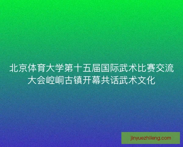 北京体育大学第十五届国际武术比赛交流大会崆峒古镇开幕共话武术文化